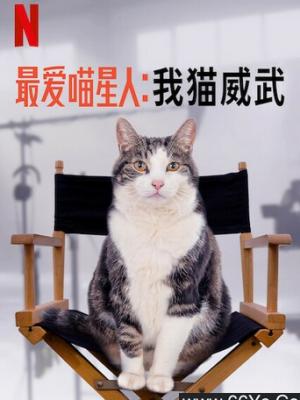 黑子的篮球